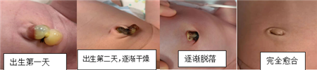 微信截图_20220304162249