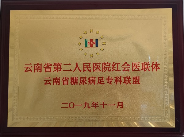 糖尿病足专科联盟