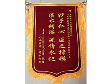 妙手仁心 医之楷模 医术精湛 深情永记
