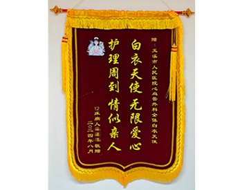 白衣天使 无限爱心 护理周到 情似亲人